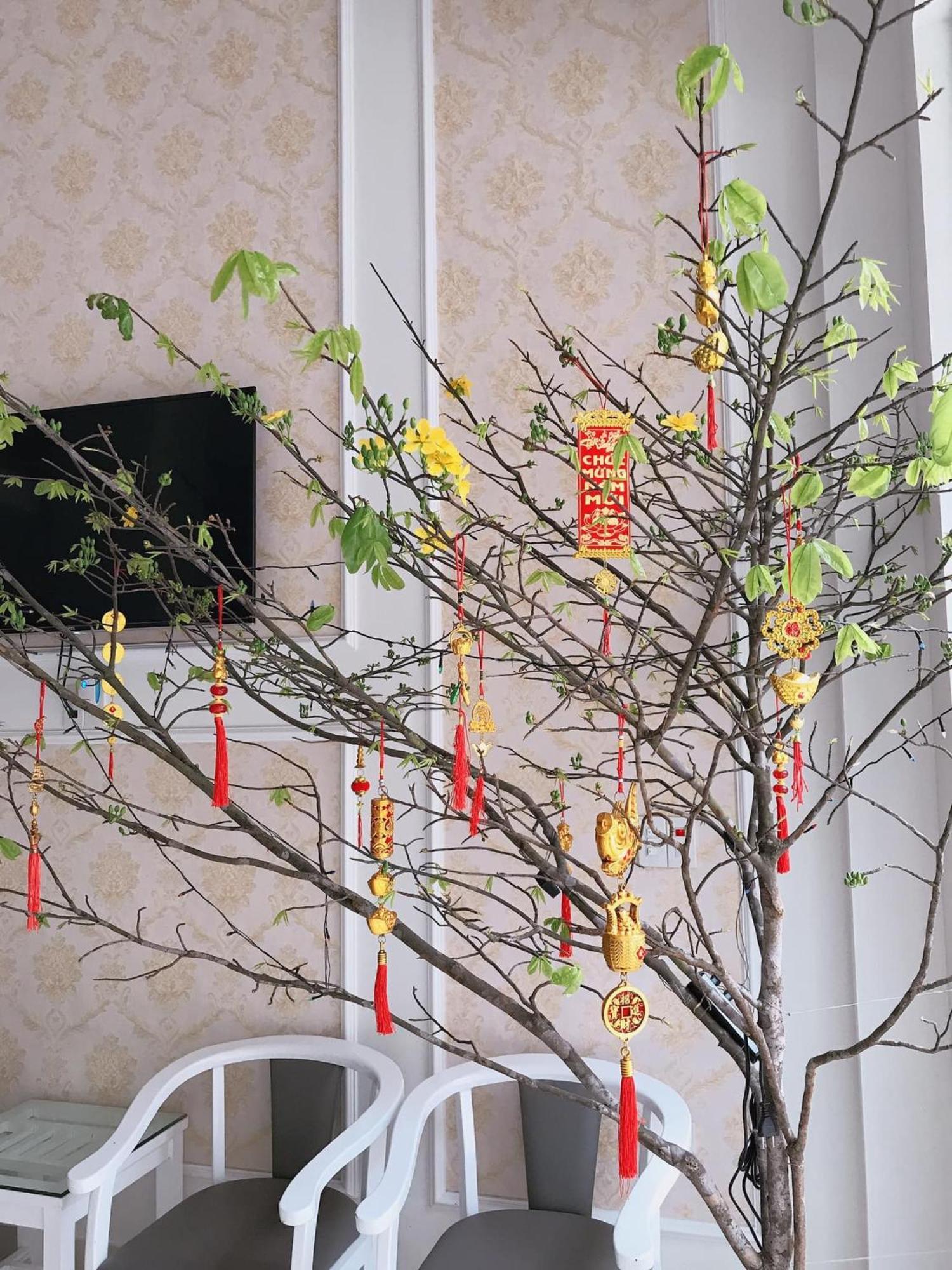 Nha Nghi Anh Dung Bed and Breakfast Χα Λονγκ Εξωτερικό φωτογραφία